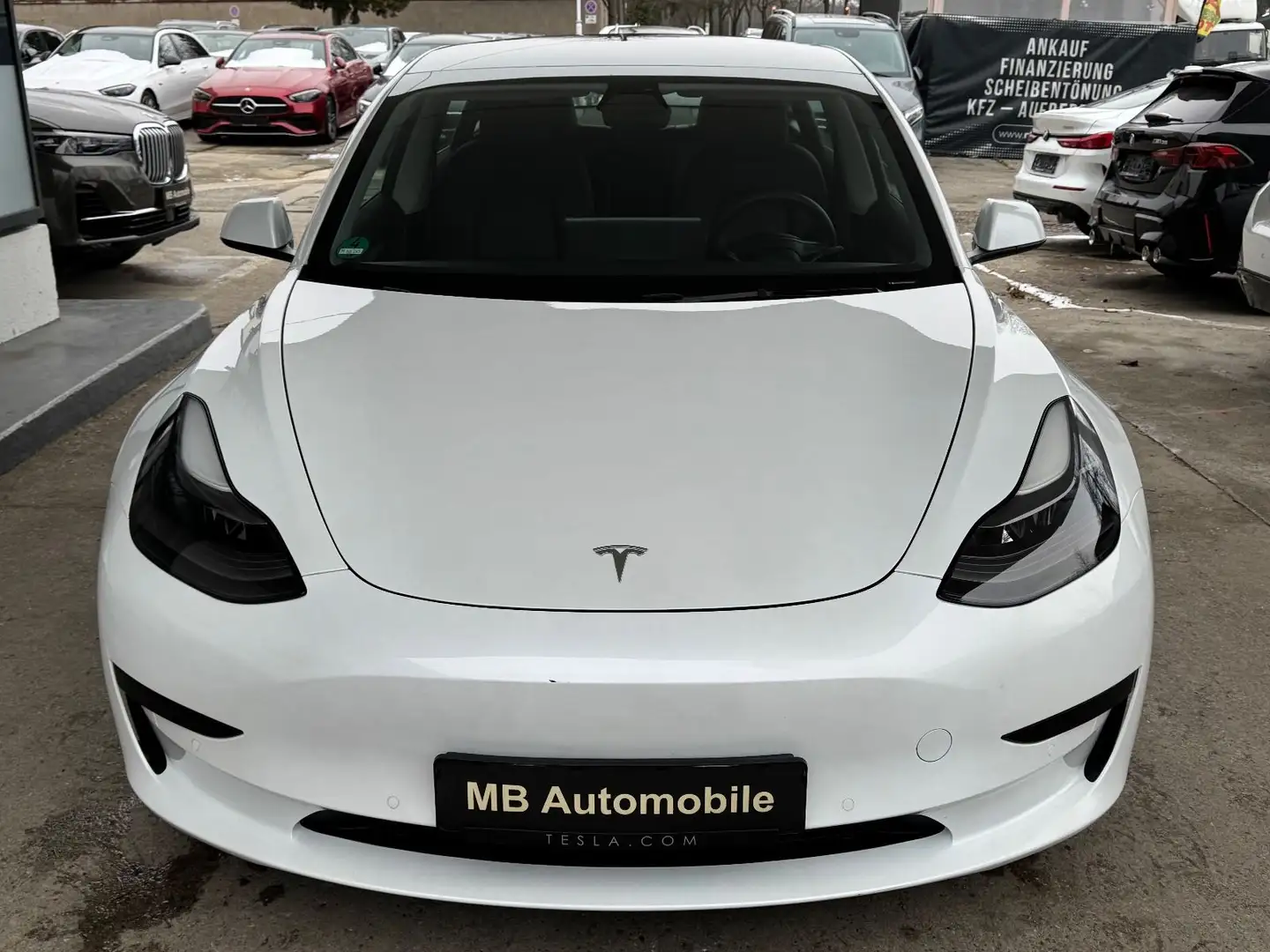 Tesla Model 3 MODEL 3 STANDARD PLUS RWD 55 kWh LED NAVI RFK Weiß - 2