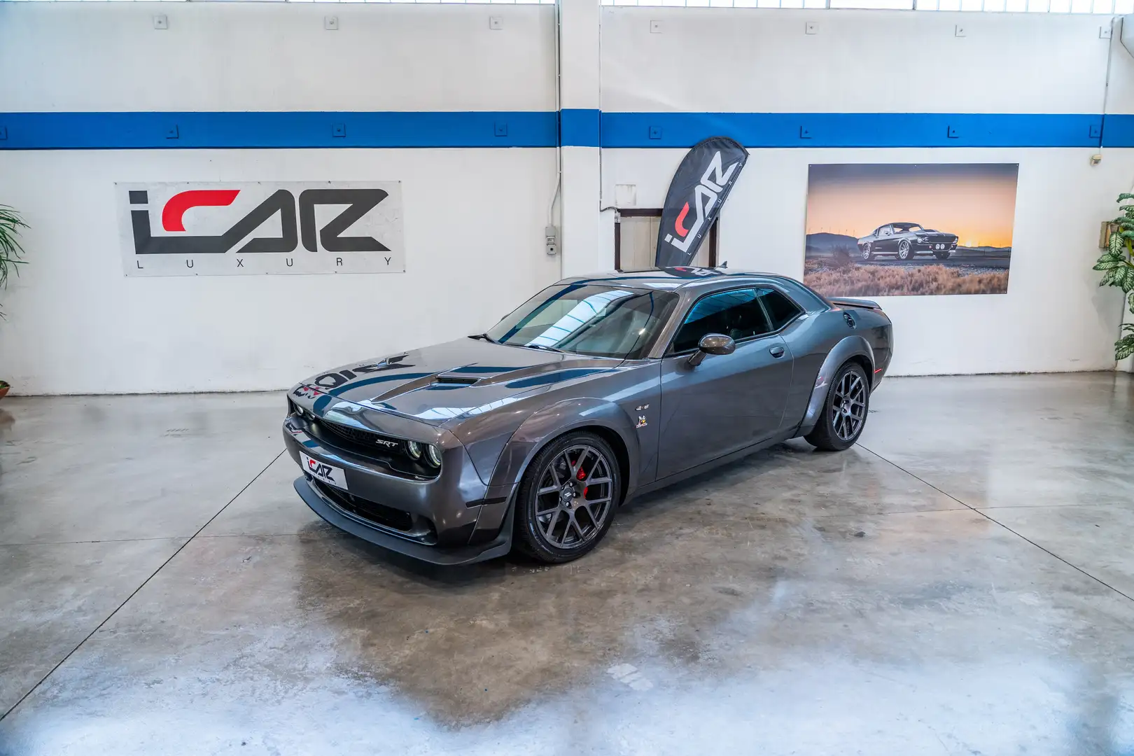 Dodge Challenger Scat Pack 6.4L V8 SRT 392 485cv  at8 IVA ESPOSTA Grigio - 2