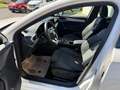 SEAT Leon SP Combi FR 1.4 e-HYBRID - elektr. AHK/Panno Da... Weiß - thumbnail 15