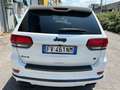 Jeep Grand Cherokee Grand Cherokee IV 2019 3.0 V6  250cv MODEL S Bianco - thumbnail 7