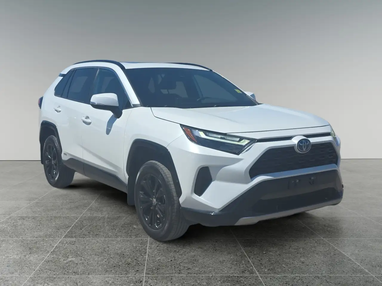 2024 Toyota RAV 4