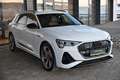 Audi e-tron 55 quattro 95kWh S-line NP €115k ACC, MatrixLED... Weiß - thumbnail 35