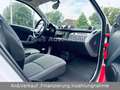 smart forTwo Passion AUTOM/SITZH/PANO/KLIMA/ALLWETTER Roşu - thumbnail 13