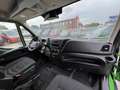 Iveco Daily Einzelkabine 50 C ./Verkaufsaufbau/Klima Vert - thumbnail 11