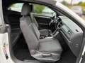 Volkswagen T-Roc Cabriolet 1.0 TSI App Connect PDC v+h Klimaa. Blanco - thumbnail 16