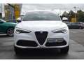 Alfa Romeo Stelvio Q4 Sprint 2.0 Turbo 16V  AHK-el. klappb. Navi Weiß - thumbnail 5