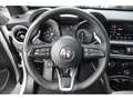 Alfa Romeo Stelvio Q4 Sprint 2.0 Turbo 16V  AHK-el. klappb. Navi Weiß - thumbnail 16