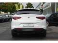 Alfa Romeo Stelvio Q4 Sprint 2.0 Turbo 16V  AHK-el. klappb. Navi Weiß - thumbnail 7