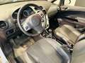 Opel Corsa Corsa IV 2013 5p 1.2 Edition*NEOPATENTATI* Blanc - thumbnail 6