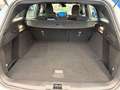 Ford Focus Turnier 1,5 EcoBlue ST-Line Aut. Weiß - thumbnail 13