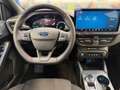 Ford Focus Turnier 1,5 EcoBlue ST-Line Aut. Weiß - thumbnail 9