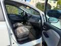 Fiat Punto Evo Dynamic Blanc - thumbnail 12
