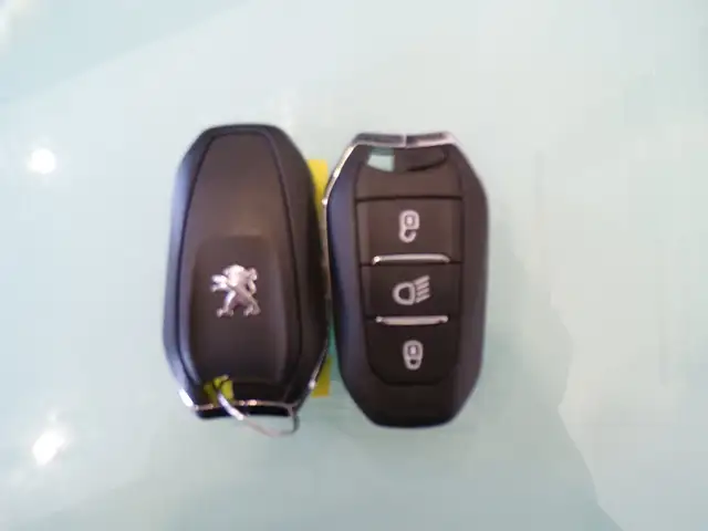 Peugeot 3008 view 18