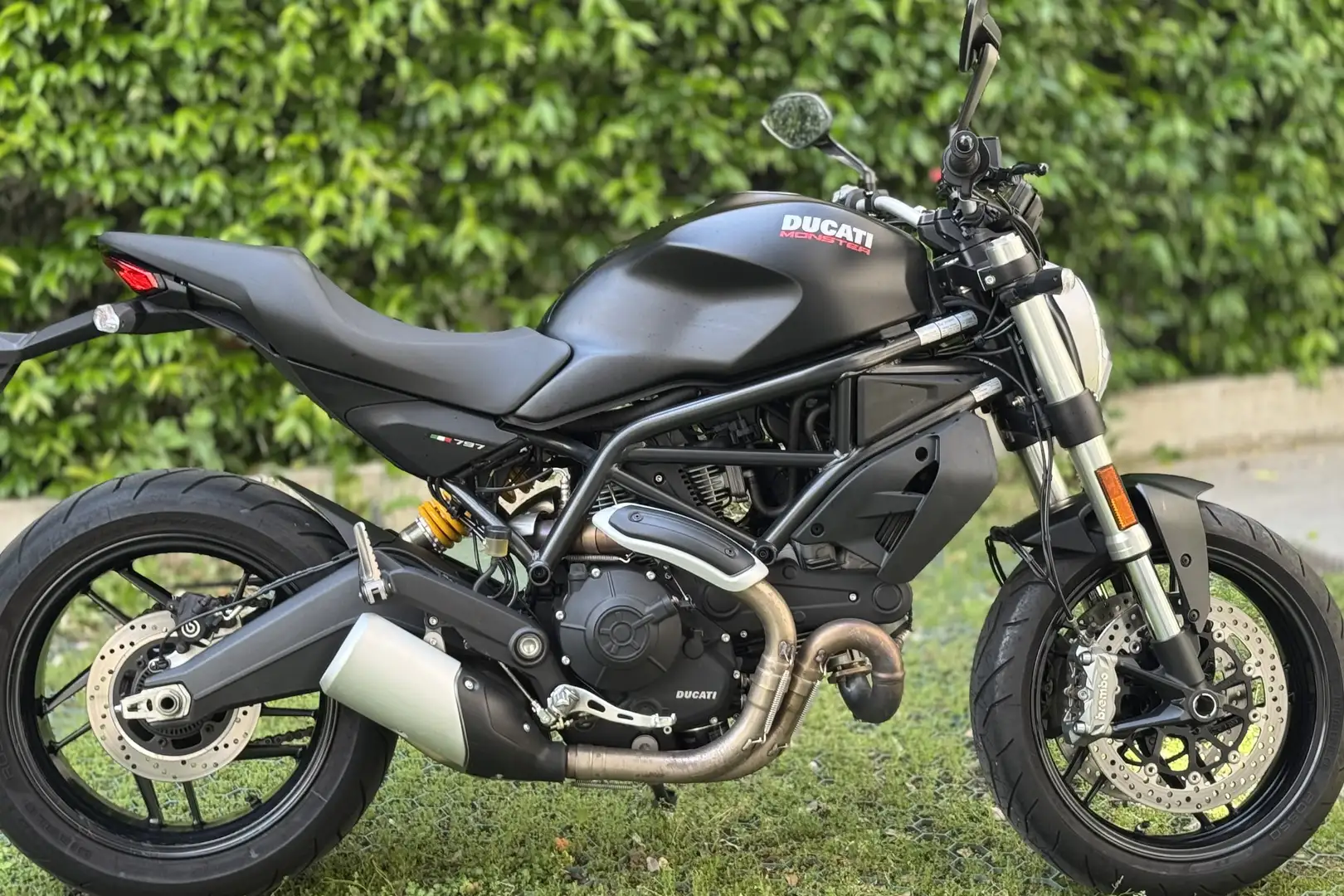 Ducati Monster 797 - 2