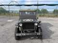Jeep Willys Green - thumbnail 2