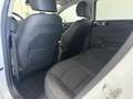 Kia Ceed SW / cee'd SW 1,6 CRDi SCR ISG Gold Mild-Hybrid Weiß - thumbnail 15