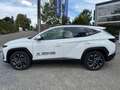 Hyundai TUCSON Tucson HEV 1.6 T-GDi Shine *DEMO*GARANTIE 5 ANS* Blanc - thumbnail 8