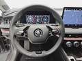 Skoda Superb SUPERB 2.0 TDI DSG L&K 4X4 NAVI LED LEDER ACC HEAD Grau - thumbnail 14