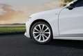 Audi A5 e-hybrid Business quattro S tronic 220kW Blanco - thumbnail 7