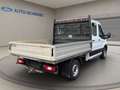 Ford Transit Pritsche 350 L2 Doppelkabine Basis Blanc - thumbnail 3