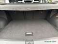 Volkswagen T-Roc 1.0 TSI Goal NAVI LED APP ACC PDC Weiß - thumbnail 8