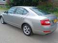 Skoda Octavia Octavia 1.8 TSI (Green tec) 4x4 DSG Style Beige - thumbnail 2