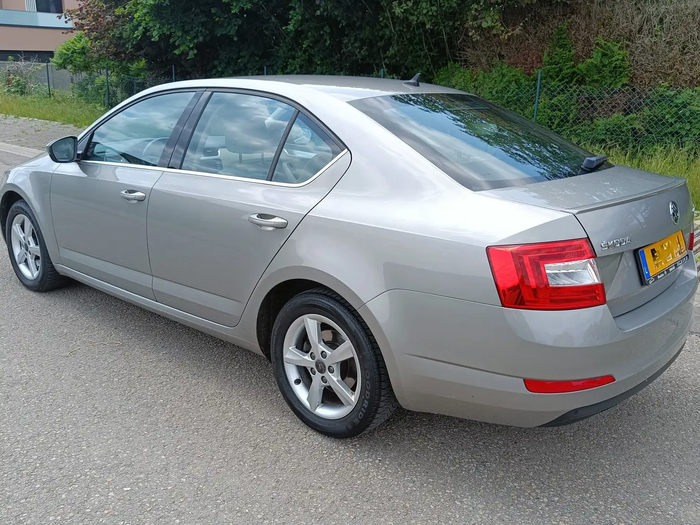 Skoda Octavia Octavia 1.8 TSI (Green tec) 4x4 DSG Style Beige - 2