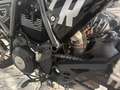 Ducati Scrambler ICON Grigio - thumbnail 6