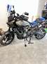 Harley-Davidson Pan America standard piu optional Hnědá - thumbnail 6