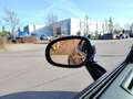 Dodge Challenger Challenger R/T ScatPack Shaker Widebody 6.4 Hemi Zwart - thumbnail 7