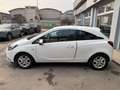 Opel Corsa Corsa 3p 1.2 Benzina Neopatentati Blanc - thumbnail 5
