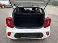 Kia Picanto 1,0 MPI Caritas Blanc - thumbnail 10