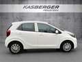 Kia Picanto 1,0 MPI Caritas Weiß - thumbnail 3