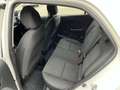 Kia Picanto 1,0 MPI Caritas Weiß - thumbnail 9