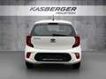 Kia Picanto 1,0 MPI Caritas Weiß - thumbnail 5
