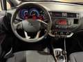Kia Rio Rio III  5p 1.2 LX NEOPATENTATI Argento - thumbnail 7