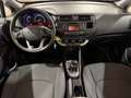 Kia Rio Rio III  5p 1.2 LX NEOPATENTATI Argento - thumbnail 8