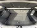 Kia Stonic 1.0 T-GDi MHEV Drive 100 DCT Blanco - thumbnail 7