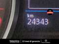 Volkswagen Passat Variant Passat Variant 2.0 TDI DSG SCR EVO Business Grigio - thumbnail 15