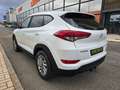 Hyundai TUCSON 1.6 TGDI Tecno 4x2 Weiß - thumbnail 5