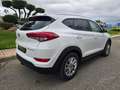 Hyundai TUCSON 1.6 TGDI Tecno 4x2 Weiß - thumbnail 7
