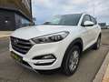 Hyundai TUCSON 1.6 TGDI Tecno 4x2 Weiß - thumbnail 3