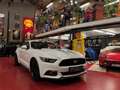 Ford Mustang 2.3 Ecoboost *** VENDUE * SOLD *** Wit - thumbnail 1