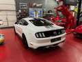 Ford Mustang 2.3 Ecoboost *** VENDUE * SOLD *** Wit - thumbnail 8
