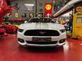 Ford Mustang 2.3 Ecoboost *** VENDUE * SOLD *** Wit - thumbnail 3