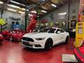 Ford Mustang 2.3 Ecoboost *** VENDUE * SOLD *** Wit - thumbnail 6