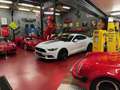 Ford Mustang 2.3 Ecoboost *** VENDUE * SOLD *** Wit - thumbnail 7