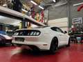 Ford Mustang 2.3 Ecoboost *** VENDUE * SOLD *** Wit - thumbnail 11