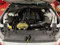 Ford Mustang 2.3 Ecoboost *** VENDUE * SOLD *** Wit - thumbnail 28