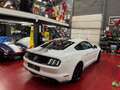 Ford Mustang 2.3 Ecoboost *** VENDUE * SOLD *** Wit - thumbnail 12